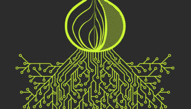 Kraken 17 at