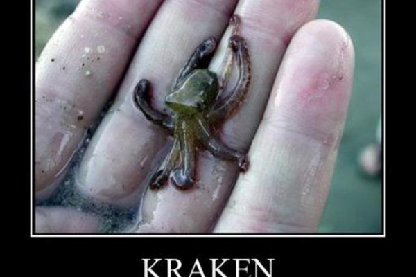 Кракен наркошоп