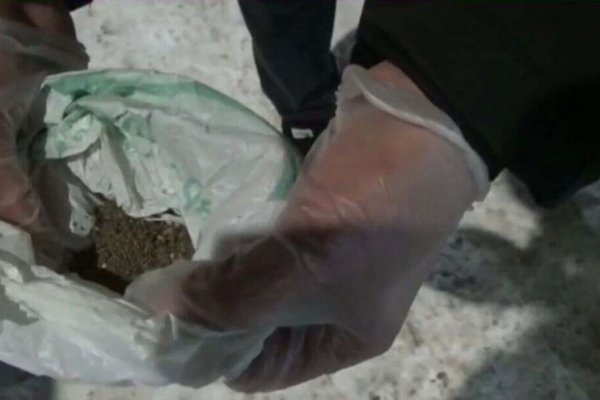 Как зайти на кракен через айфон
