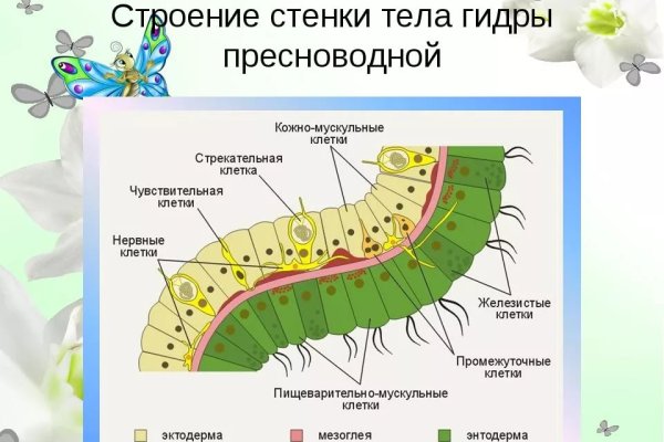 Кракен маркетплейс как зайти