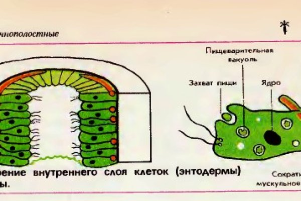Kraken ссылка актуальная москва