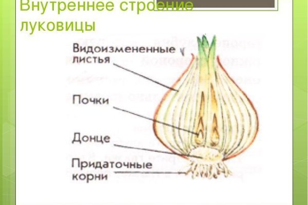 Онлайн магазин наркотиков