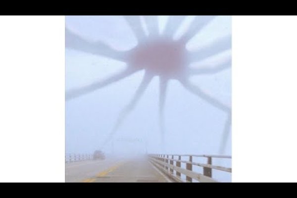 Kraken18 at