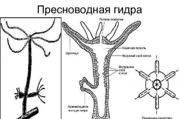 Зайти в кракен