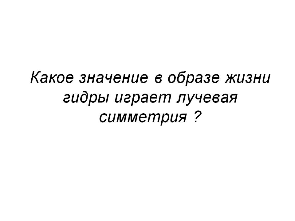 Кракен магазин ссылка